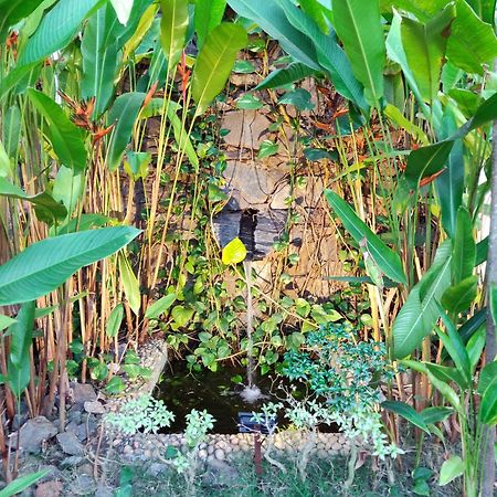 Rock Forest Goa Honeymoon Cottages Calangute Eksteriør billede