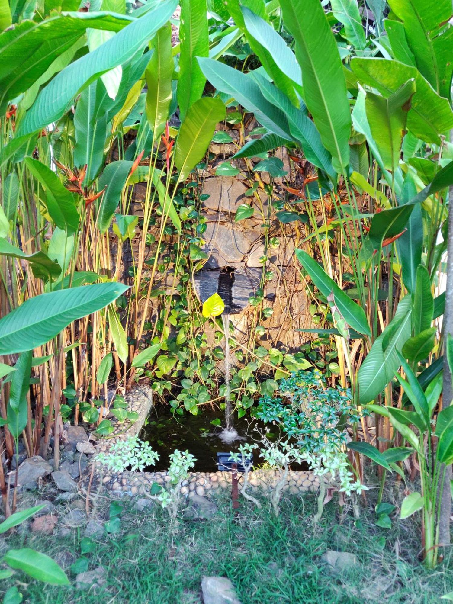 Rock Forest Goa Honeymoon Cottages Calangute Eksteriør billede